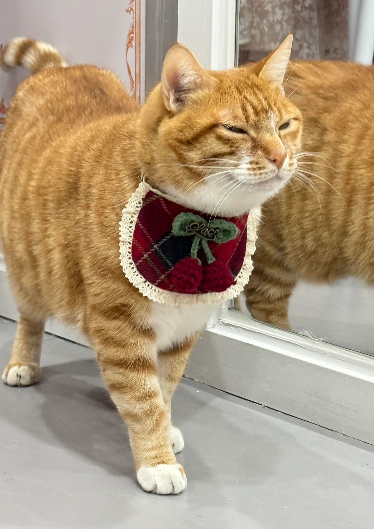 Evil Cat Pet Bib - Image 4