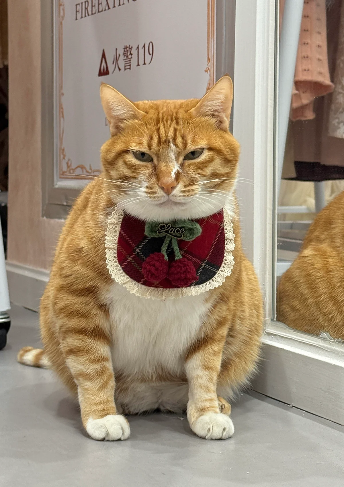 Evil Cat Pet Bib - Image 7